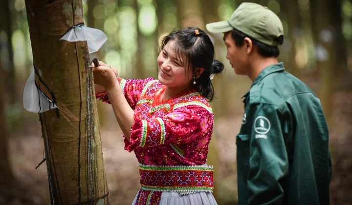 Ngành cao su tăng trưởng xanh