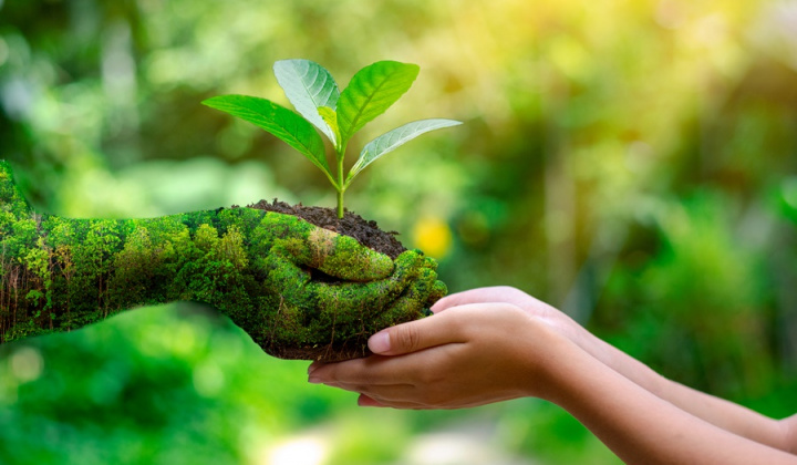 Sửa quy định về thẩm quyền của cảnh sát môi trường