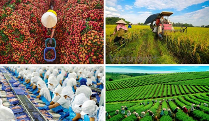 Phát triển kinh tế tuần hoàn trong nông nghiệp trên thế giới và một số khuyến nghị đối với Việt Nam