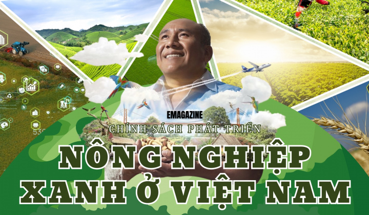 Chính sách phát triển nông nghiệp xanh ở Việt Nam