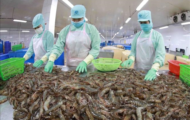 Việt Nam: Xuất khẩu thủy sản đạt 10 tỷ USD