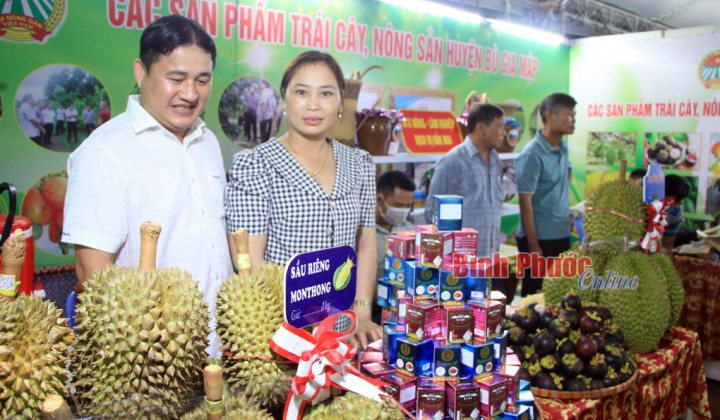 Nhiều chính sách hỗ trợ doanh nghiệp nhỏ và vừa ở Bình Phước