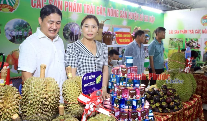 Nhiều chính sách hỗ trợ doanh nghiệp nhỏ và vừa ở Bình Phước