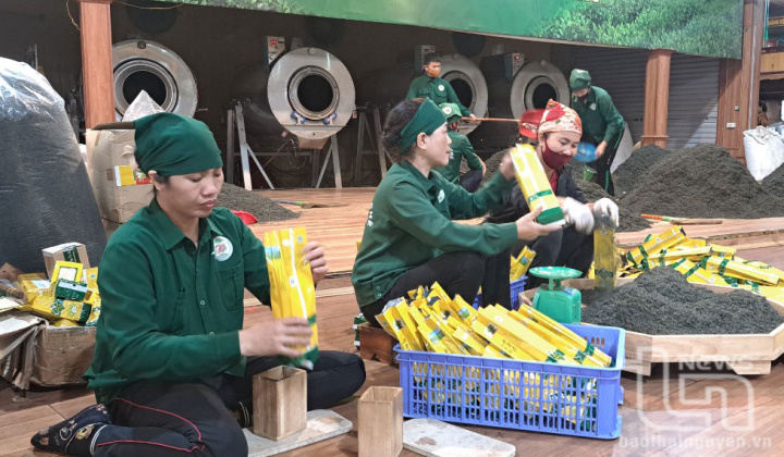 Thái Nguyên: Hiệu quả trong công tác hỗ trợ pháp lý cho doanh nghiệp nhỏ và vừa năm 2024