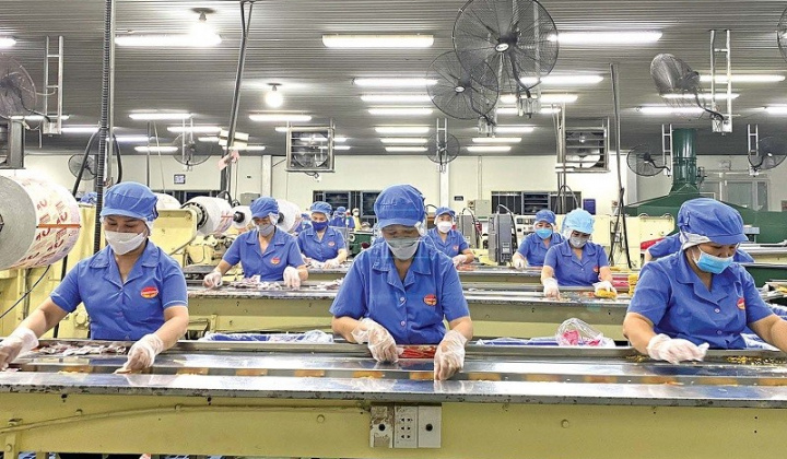 Khánh Hoà: Tiếp tục hỗ trợ pháp lý cho doanh nghiệp nhỏ và vừa năm 2024 - 2025