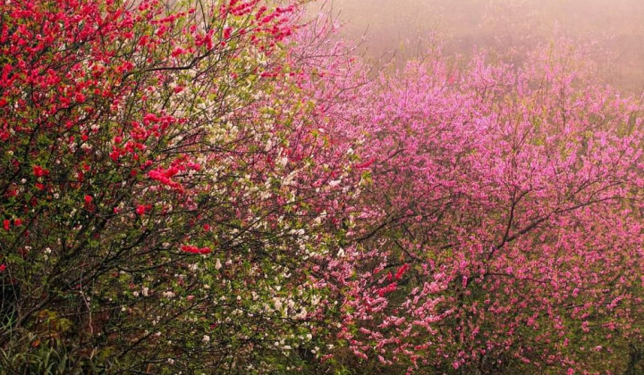 Bắc Kạn: Chung sức, đồng lòng, cùng xây dựng mùa Xuân ấm áp