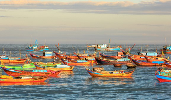 Chấn chỉnh công tác cấp giấy xác nhận nguyên liệu thủy sản khai thác