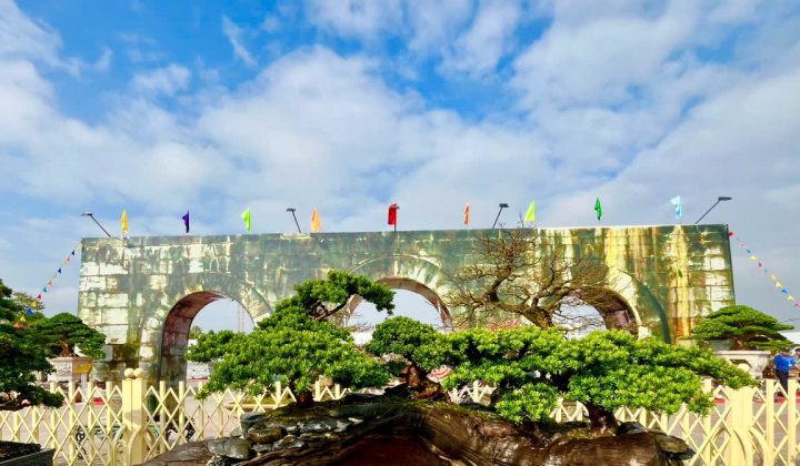 Thanh Hóa: Nơi hội tụ nhiều tác phẩm sinh vật cảnh nghệ thuật đặc sắc