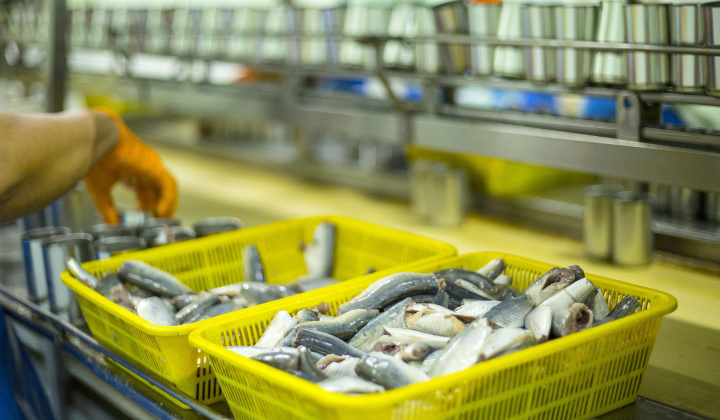 Hanoi to turn fisheries into important sector