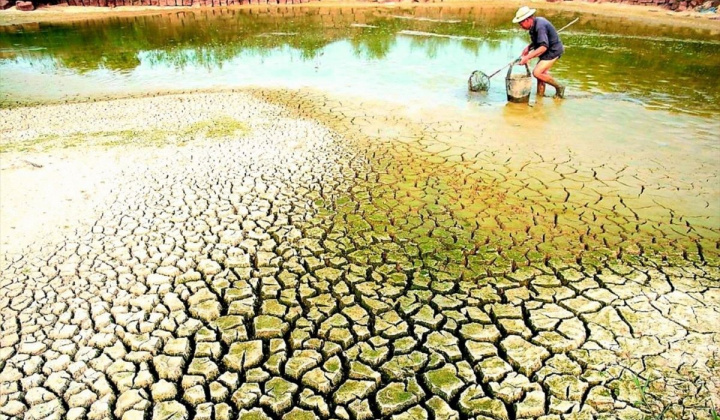 Chủ động phòng, chống hạn hán, thiếu nước, xâm nhập mặn