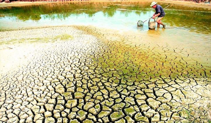 Chủ động phòng, chống hạn hán, thiếu nước, xâm nhập mặn