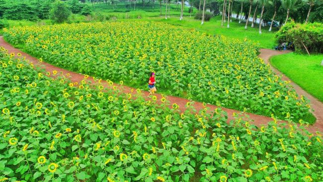 “Thiên đường” của người yêu thể thao trong đô thị xanh lớn nhất miền Bắc