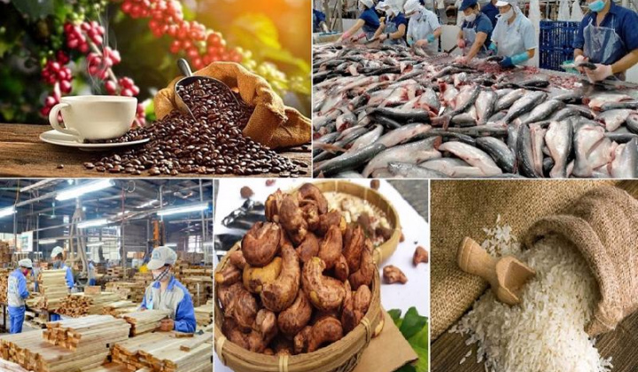 Giá trị xuất siêu nông lâm thủy sản của Việt Nam tăng gần gấp ba