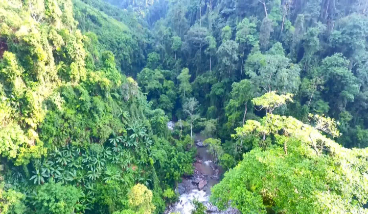 Tết rừng - Luật tục bảo vệ rừng riêng của đồng bào Mông Nà Hẩu