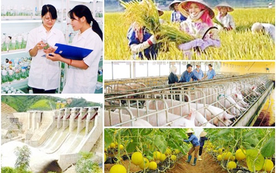 Tháo gỡ khó khăn các chương trình mục tiêu quốc gia