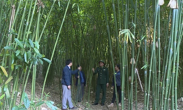 Mọi nhiệm vụ tại Yên Khương đều hướng tới xây dựng thành công xã Nông thôn mới