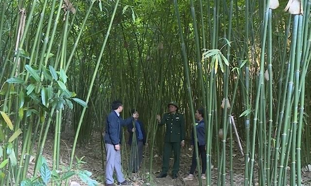Mọi nhiệm vụ tại Yên Khương đều hướng tới xây dựng thành công xã Nông thôn mới
