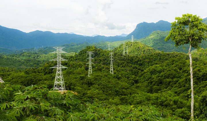 Sửa đổi, bổ sung một số điều trong Luật Lâm nghiệp