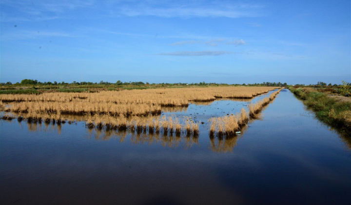 Tăng cường thực hiện các biện pháp phòng, chống nắng nóng, hạn hán, thiếu nước, xâm nhập mặn