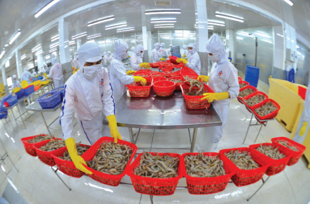 Đảm bảo không có sản phẩm thủy sản bất hợp pháp xuất khẩu ra nước ngoài