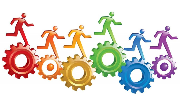 VSS effectively implements administrative reform