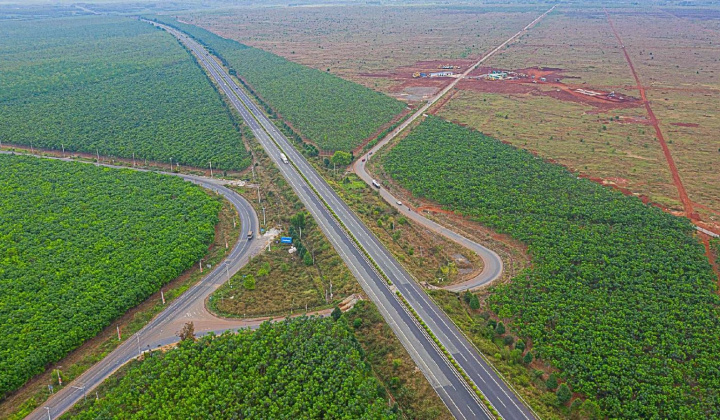 GVR: Chuyển đổi 25.000 ha đất cao su sang đất công nghiệp