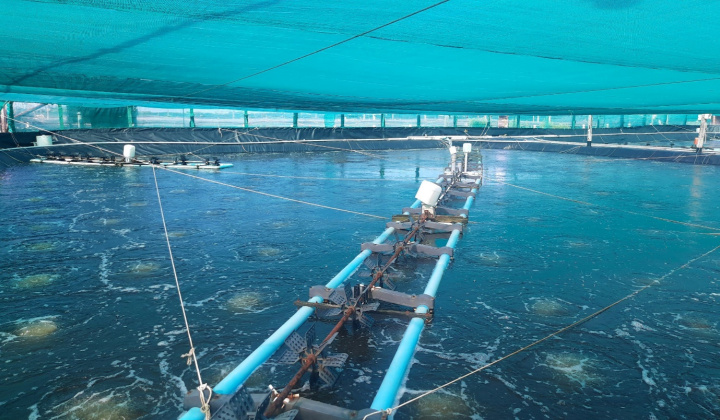 Bến Tre: Phát triển bền vững, toàn diện gắn với trách nhiệm bảo vệ môi trường và thích ứng biến đổi khí hậu