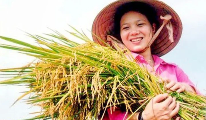 Tiếp tục nâng cao hiệu quả chính sách hỗ trợ nông dân phát triển sản xuất