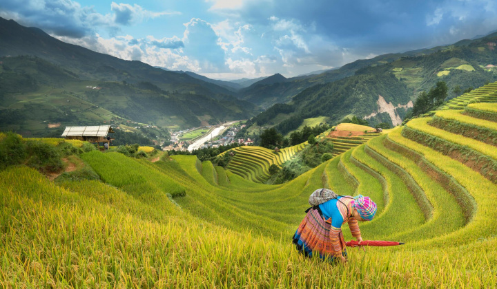 The Northern midland and mountainous set goals to be areas of green, inclusive, and sustainable growth by 2023