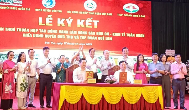 Thúc đẩy phát triển các mô hình sản xuất nông nghiệp hữu cơ ở Đức Thọ