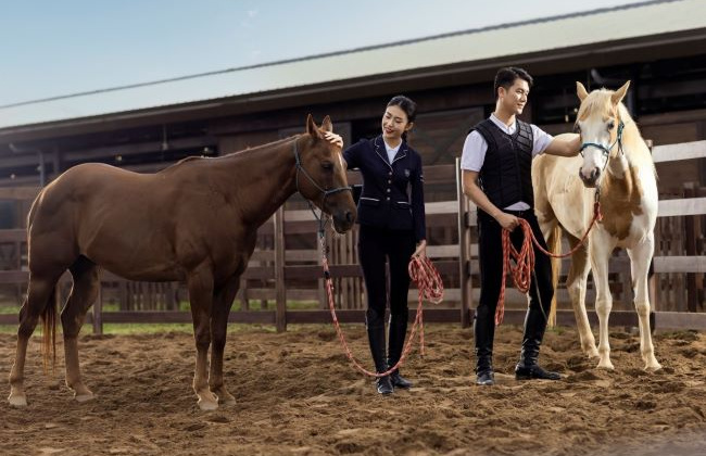 Sống đẳng cấp như quý tộc châu Âu với Học viện cưỡi ngựa Hoàng Gia bên thềm nhà