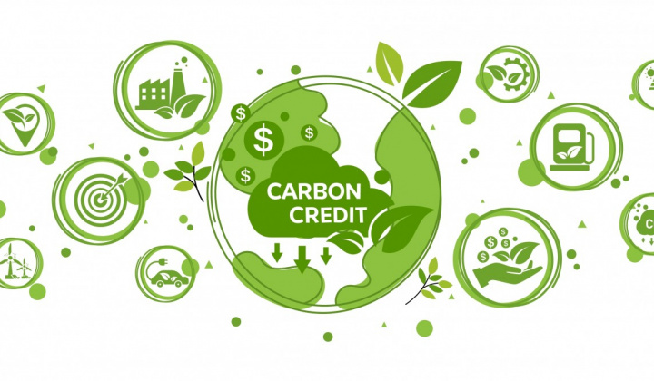 Carbon credit market: New opportunities for Vietnamese businesses