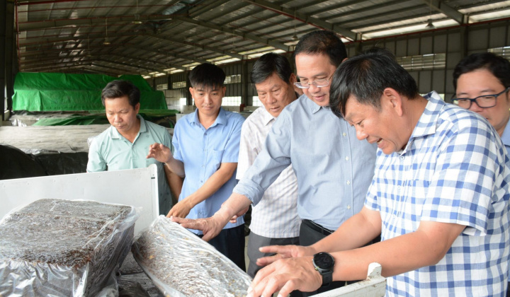 Ông Trương Minh Trung – Phó TGĐ VRG: Sản xuất mủ Mixture và các giải pháp quản lý hàm lượng mủ cao su nhằm tăng giá trị thành phẩm