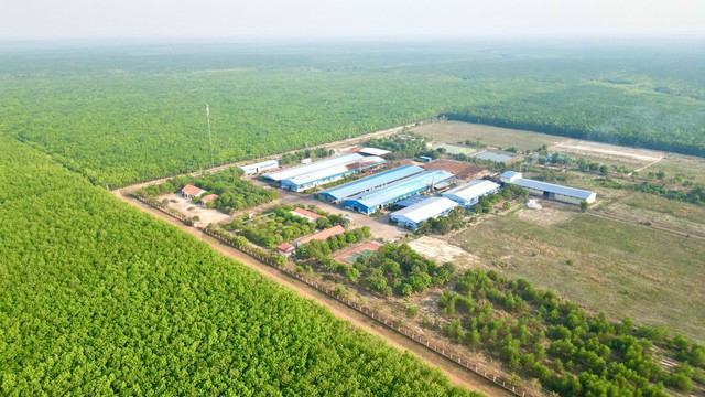 VRG: Phát triển bền vững trên những giá trị xanh