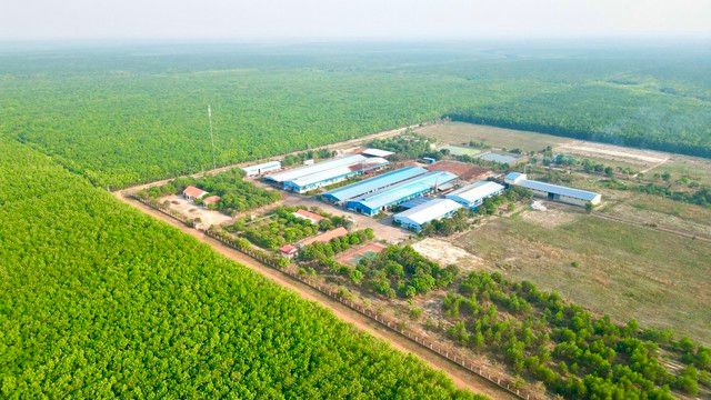 VRG: Phát triển bền vững trên những giá trị xanh