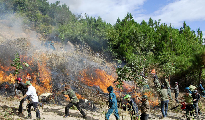 Tiếp tục quyết liệt triển khai có hiệu quả các biện pháp phòng cháy, chữa cháy rừng