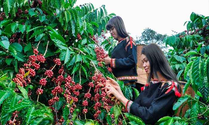 The Central Highlands region prioritizes the strong development of process industries