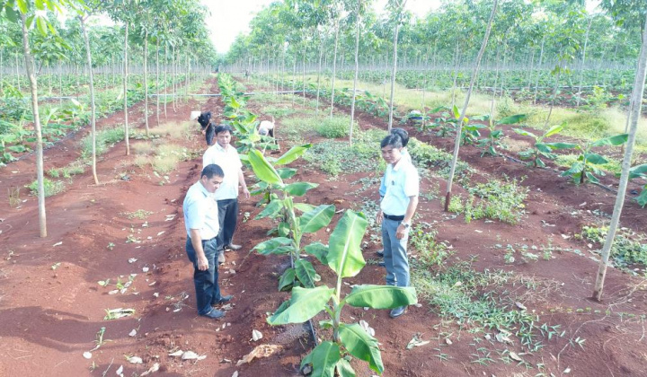 VRG có nhiều lợi thế phát triển nông nghiệp ứng dụng công nghệ cao quy mô lớn và bền vững