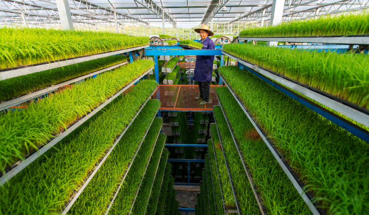 Promoting linkage of organic agricultural production chain