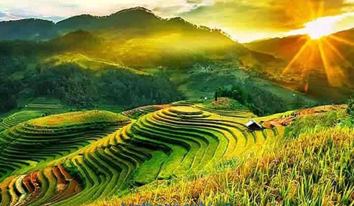 Đến năm 2030, vùng trung du và miền núi phía Bắc trở thành vùng phát triển xanh, bền vững và toàn diện