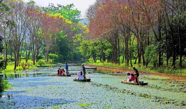 Thanh Hóa: Công bố Quy hoạch bảo tồn và phát huy giá trị Danh lam thắng cảnh quốc gia núi Kim Sơn, gắn với phát triển dịch vụ du lịch