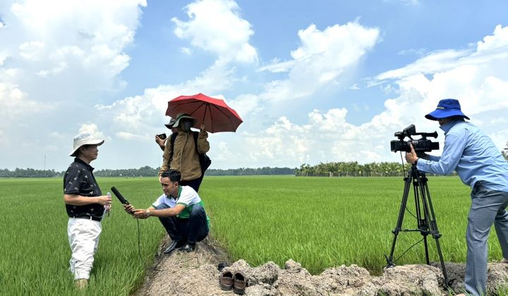 Vi sinh vật - Giải pháp cho nền nông nghiệp hữu cơ