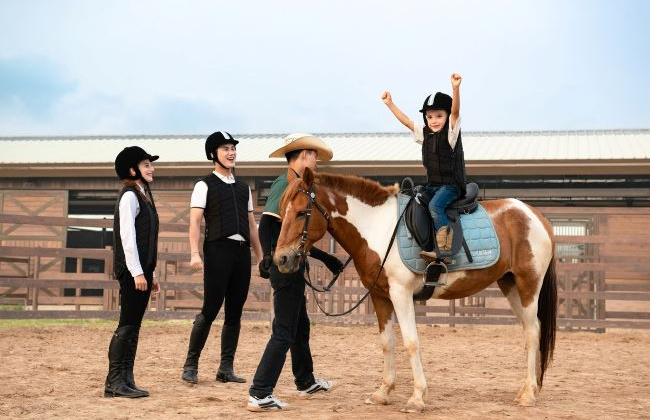 Du khách hào hứng khám phá bộ môn mã thuật tại Vinpearl Horse Academy Vũ Yên