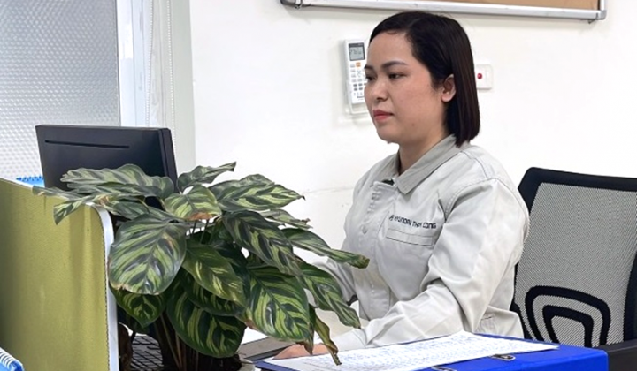 Bông hoa đẹp trong vườn hoa sáng kiến