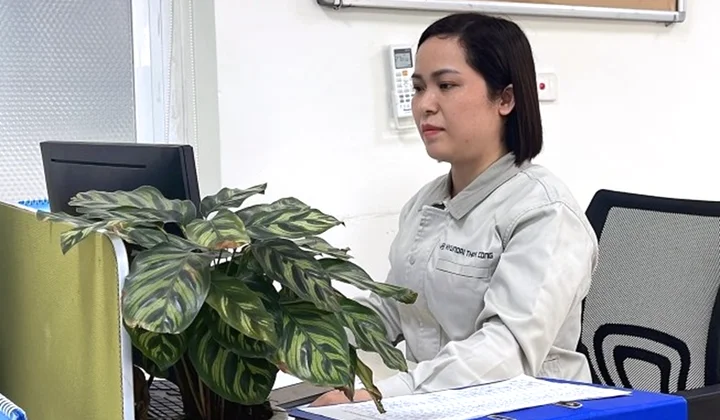 Bông hoa đẹp trong vườn hoa sáng kiến