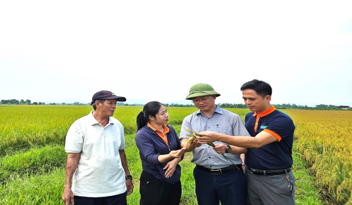 Hà Tĩnh: Đề án phát triển nông nghiệp hữu cơ giai đoạn 2024-2030