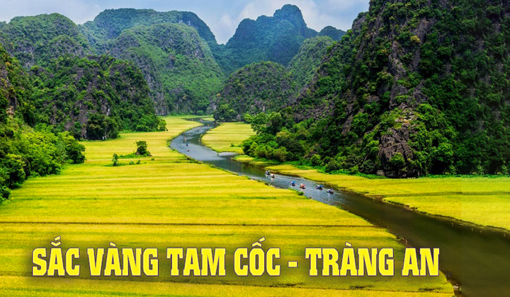 Tuần Du lịch Ninh Bình 2024 “Sắc vàng Tam Cốc - Tràng An” đón gần 300 nghìn lượt du khách