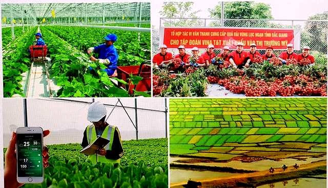 Tổ chức Tổng điều tra nông thôn, nông nghiệp năm 2025