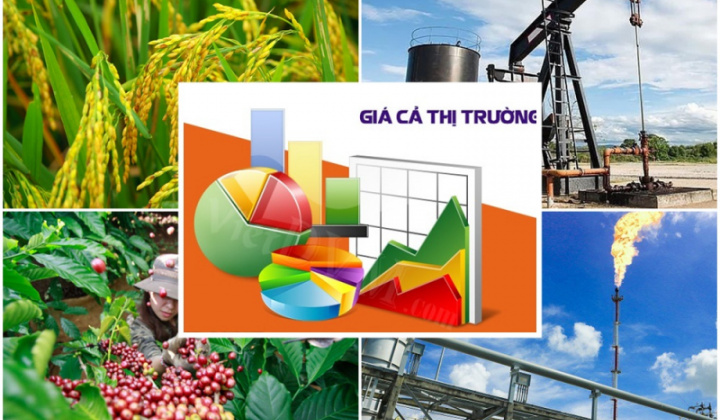 Quy định chi tiết một số điều của Luật Giá