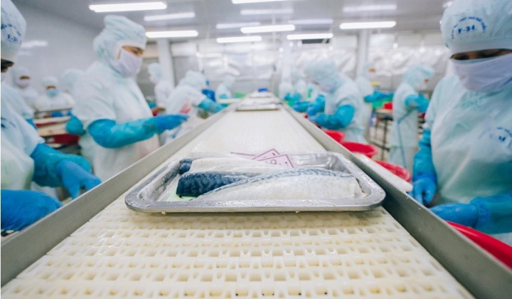 Tháo gỡ khó khăn cho các doanh nghiệp thủy sản